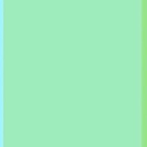 GOLDEN NATION PERFORMANCE leggings